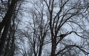 IMG_3771