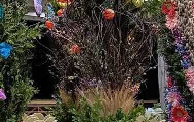 IMG-20260330-WA0007