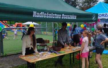 IMG-20260622-WA0006