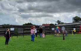 IMG-20260723-WA0009