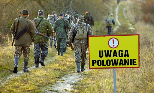 OBWIESZCZENIE O TERMINACH POLOWAŃ ZBIOROWYCH