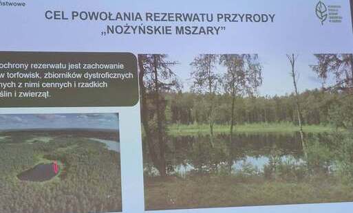 ,,Nożyńskie Mszary,,