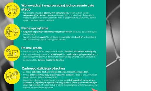 Komunikat Głównego Lekarza Weterynarii dotyczący zagrożenia grypą ptaków w związku z jesiennymi migracjami dzikiego ptactwa
