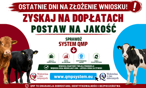 Ekoschemat „Dobrostan zwierząt” Dodatkowe pieniądze dla hodowców z QMP – tylko do 1 czerwca!
