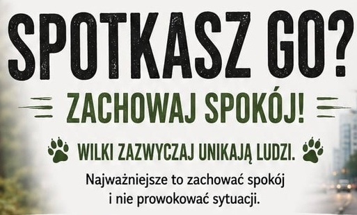SOTKASZ GO? ZACHOWAJ SPOKÓJ!