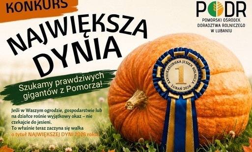 „Największa Dynia”