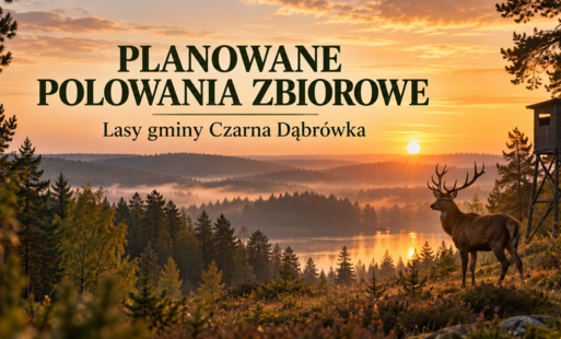 Zdjęcie do Ogłoszenie o terminach planowanych polowań zbiorowych